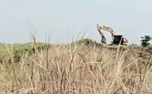 Penambang Emas Illegal di Eks PT PLN Kembali Berulah, LINK Sultra: Polres Bombana Dipermalukan