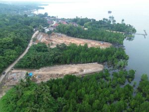 Diduga Rusak Mangrove dan DPM-PTSP Konawe Tak Tahu Aktifitasnya, APH Diminta Tindak PT Radhika