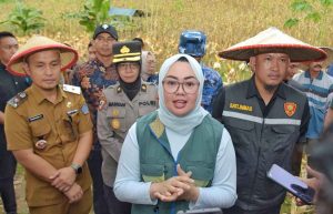 Tekan Inflasi Pemkot Kendari Gandeng Kelompok Tani