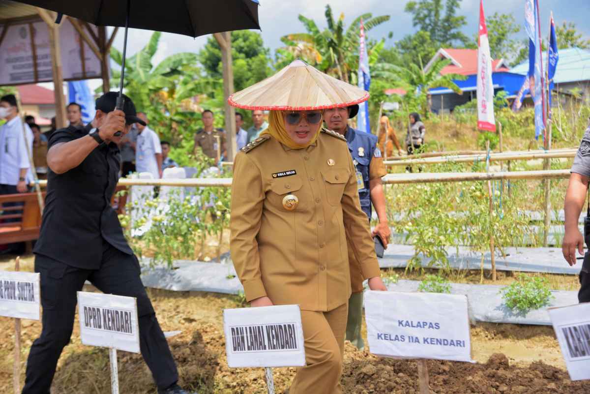 2b03676a-fd8a-4f73-b2c2-423e24f324df Walikota Hadiri Panen Raya Milik Warga Binaan Lapas Kendari