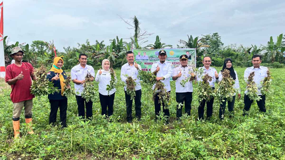Hadiri Panen Kacang Tanah, Wakil Walikota Sampaikan Pentinganya Ketahanan Pangan