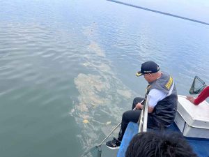 Wisata Pungut Sampah, Gunakan Jaring Tangan Wakil Walikota Bersihkan Sudut-sudut Teluk Kendari