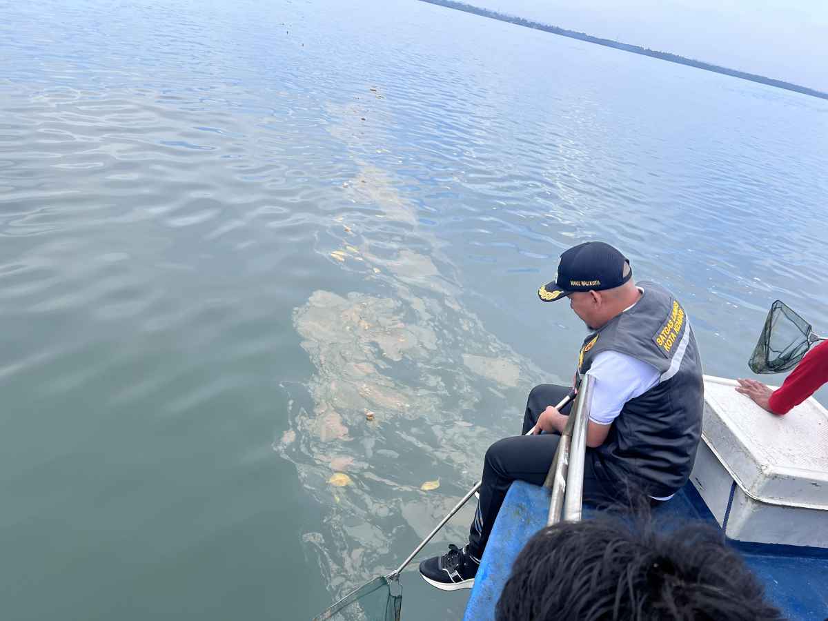 Wisata Pungut Sampah, Gunakan Jaring Tangan Wakil Walikota Bersihkan Sudut-sudut Teluk Kendari