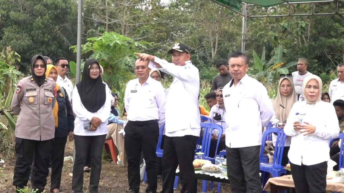 Hadiri Panen Kacang Tanah, Wakil Walikota Sampaikan Pentinganya Ketahanan Pangan