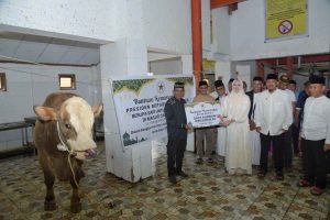 Walikota Kendari Serahkan Sapi Kurban Presiden ke Masyarakat