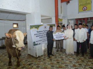 Walikota Kendari Serahkan Sapi Kurban Presiden ke Masyarakat