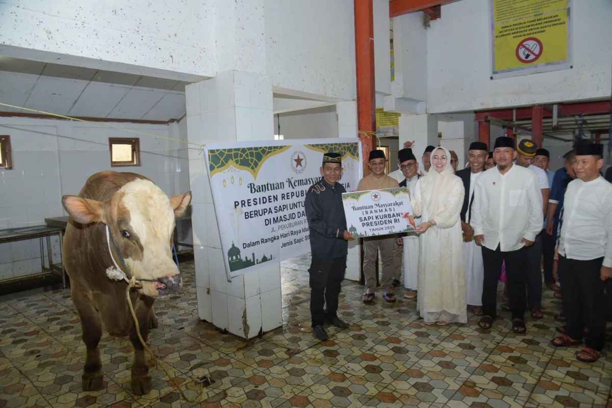 24acb2b5-9be0-4791-bf98-5d59f3d8a992 Walikota Kendari Serahkan Sapi Kurban Presiden ke Masyarakat