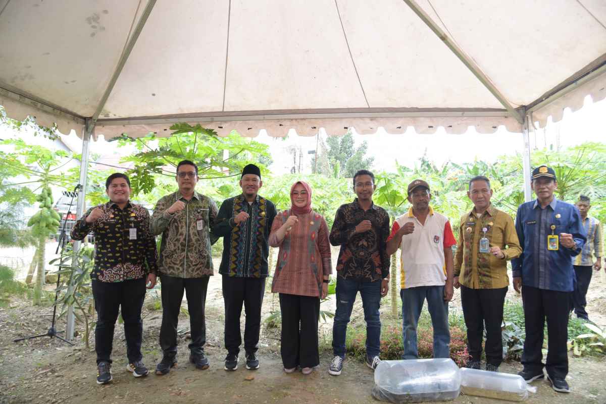 Dukung Ketahanan Pangan, Walikota Kendari Akan Siapkan Sarprasnya Dukung Ketahanan Pangan, Walikota Kendari Akan Siapkan Sarprasnya