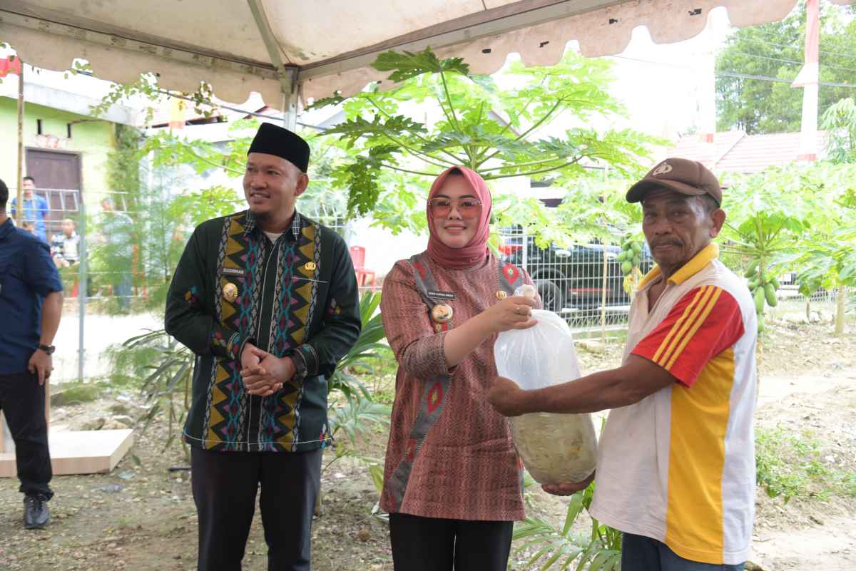 Dukung Ketahanan Pangan, Walikota Kendari Akan Siapkan Sarprasnya Dukung Ketahanan Pangan, Walikota Kendari Akan Siapkan Sarprasnya