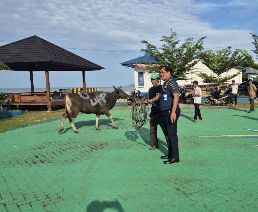 KUPP Kelas I Molawe Salurkan 10 Hewan Kurban ke Masyarakat