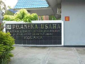 Diduga Akan Ada Intervensi, Kejati Diminta Tarik Laporan Perusda Kolaka dari Kejari Kolaka