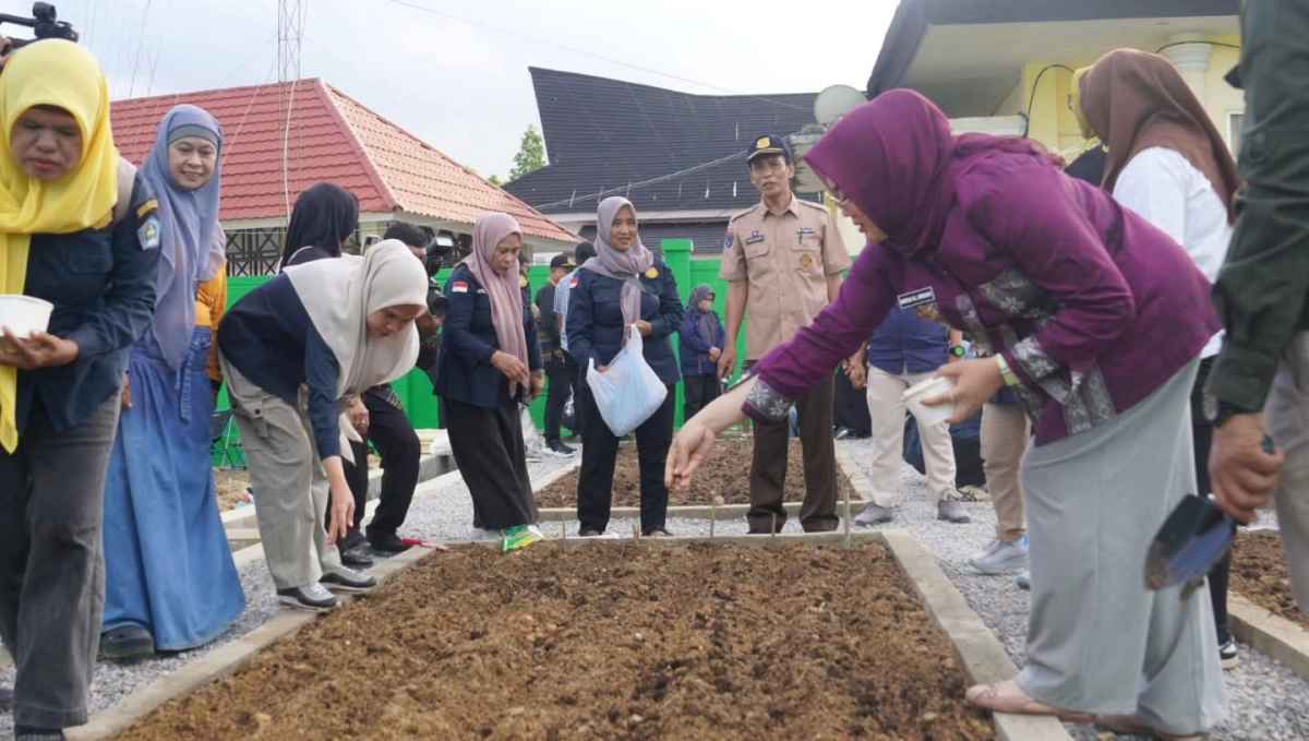IMG_5485 Kendari Berkebun, Program Walikota Tingkatkan Ketahanan Pangan