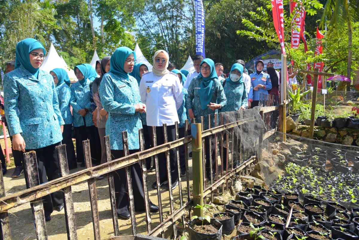 Ketahanan Pangan, Walikota Kendari Himbau Warga Untuk Manfaatkan Lahan Kosong