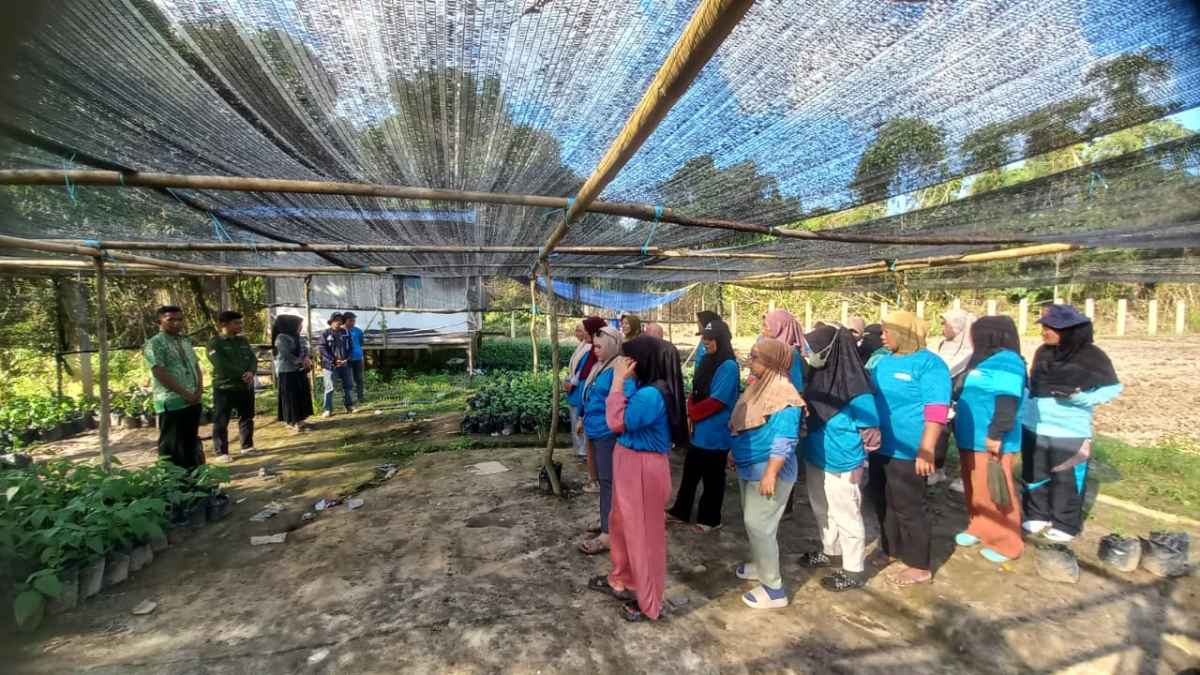 Demi meningkatkan Pengetahuan dan Kemampuan Dalam Bertani, Distan Konkep Gelar Pelatihan Teknis Holtikultura