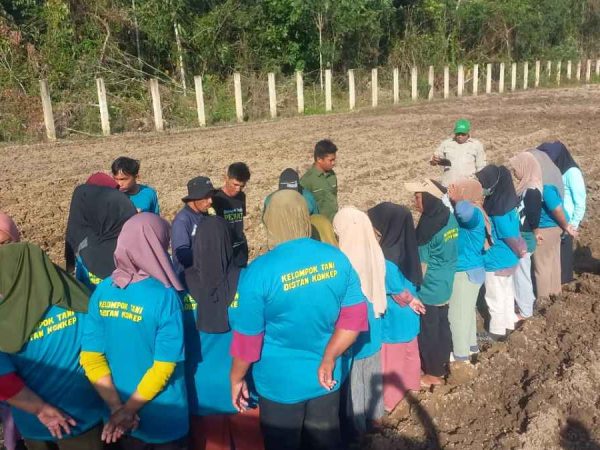 Demi meningkatkan Pengetahuan dan Kemampuan Dalam Bertani, Distan Konkep Gelar Pelatihan Teknis Holtikultura