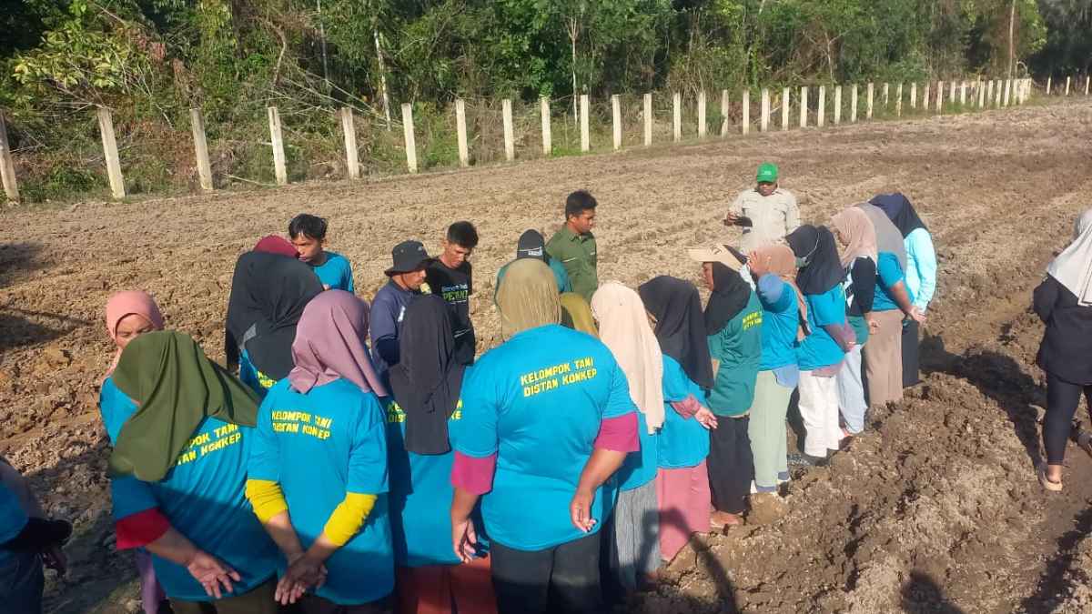 Demi meningkatkan Pengetahuan dan Kemampuan Dalam Bertani, Distan Konkep Gelar Pelatihan Teknis Holtikultura
