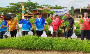 Panen Kangkung, Wakil Walikota Kendari Minta Masyarakat Manfaatkan Pekarangan Rumah