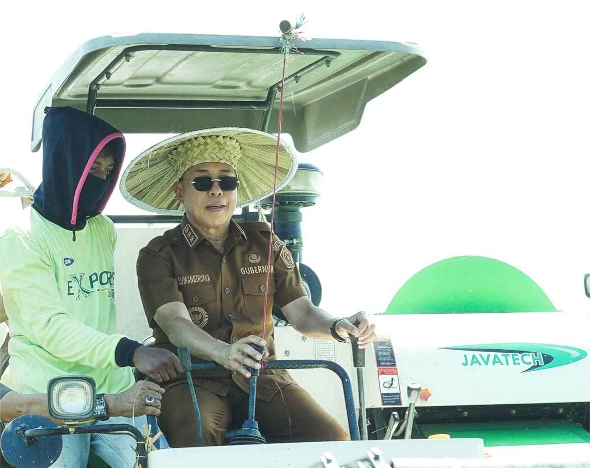 Gubernur Sultra Siapkan 6.745 Hektar Sawah Baru