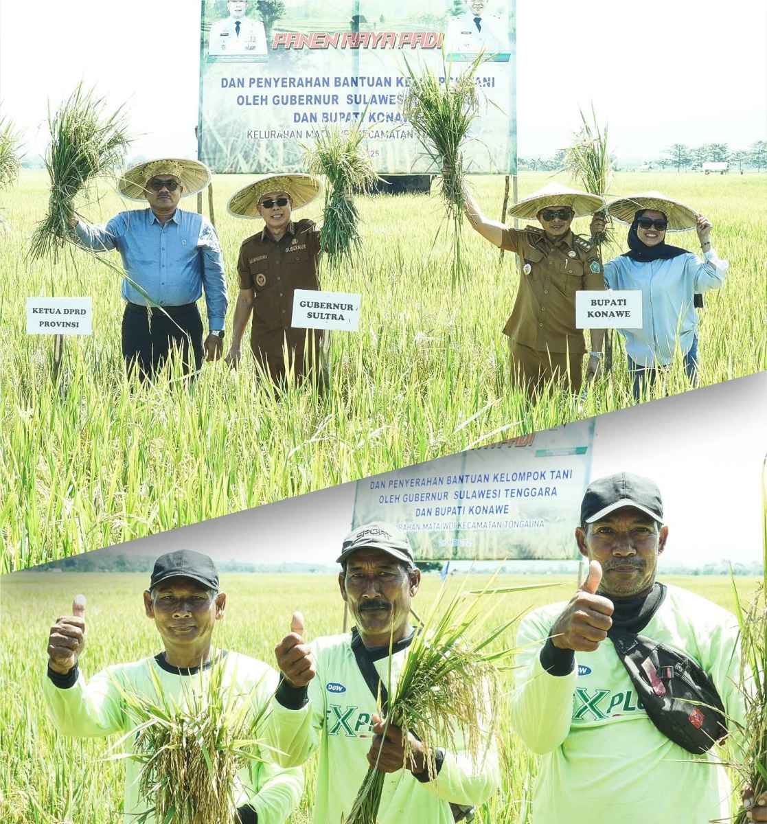 Gubernur Sultra Siapkan 6.745 Hektar Sawah Baru