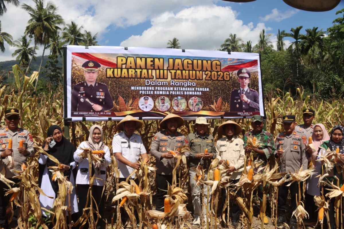Panen Raya Jagung Kuartal III, Polres Bombana Perkuat Sinergi Dukung Ketahanan Pangan